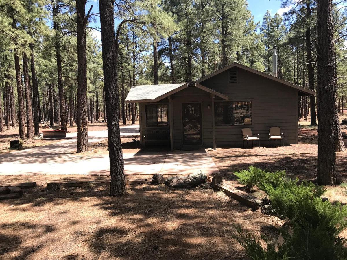 Grand Canyon Cottage At Historic Wrigley Ranch With Horseback Riding & Shooting Parks Esterno foto