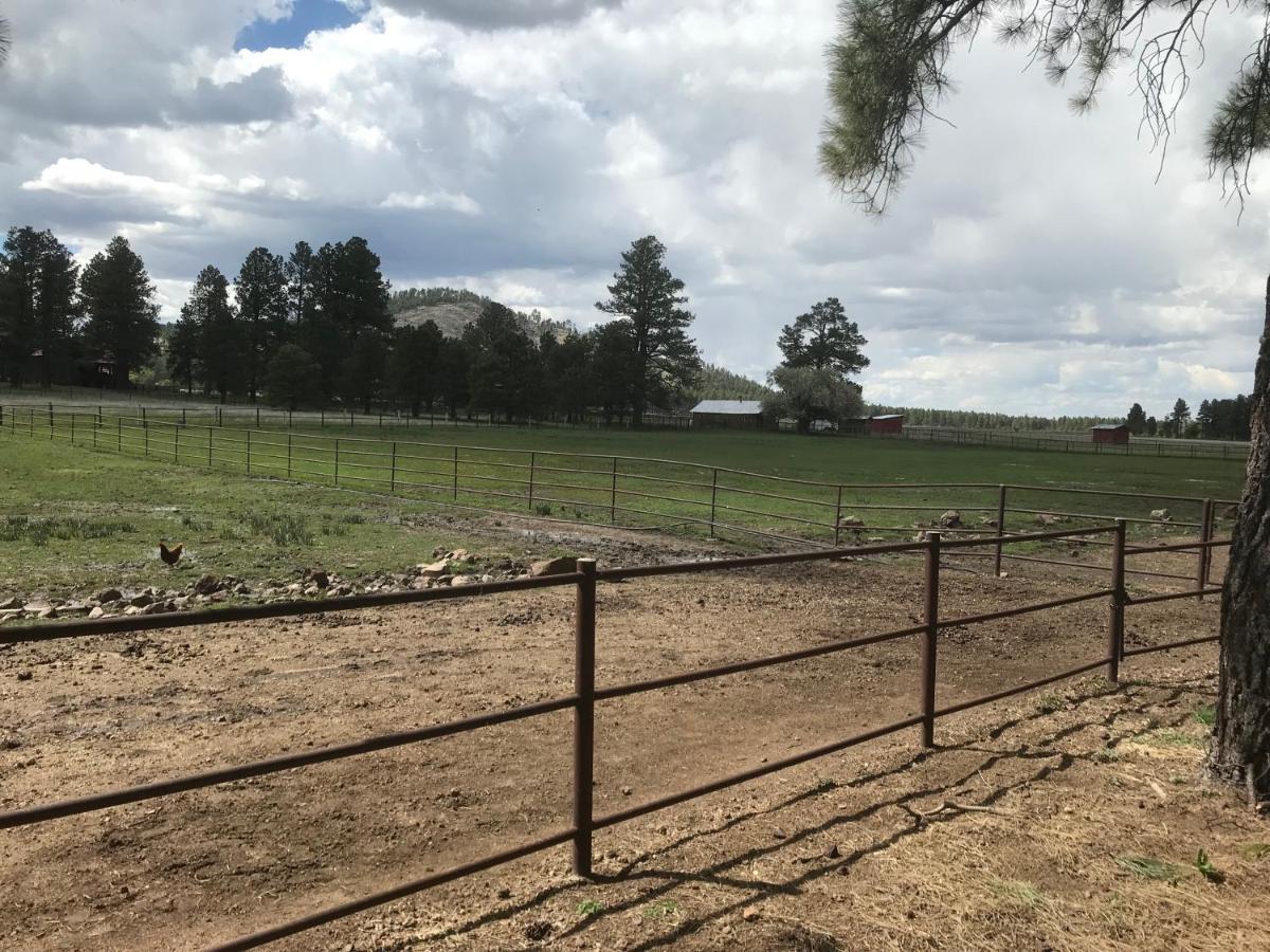 Grand Canyon Cottage At Historic Wrigley Ranch With Horseback Riding & Shooting Parks Esterno foto
