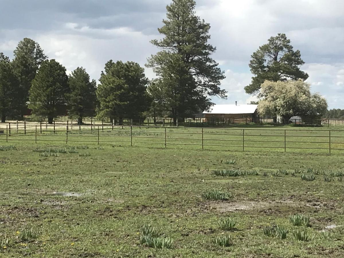Grand Canyon Cottage At Historic Wrigley Ranch With Horseback Riding & Shooting Parks Esterno foto